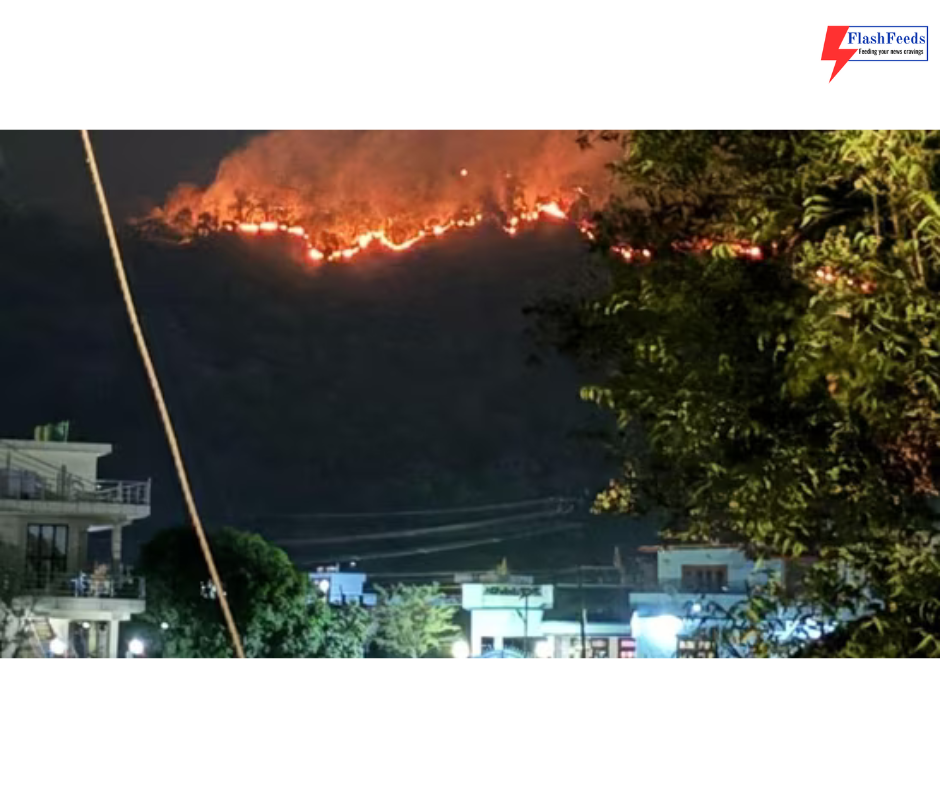 Uttarakhand forest fires mainly caused by humans