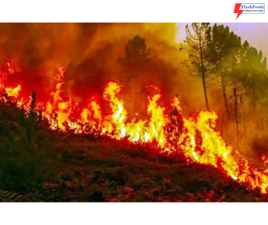 Uttarakhand forest fires spreading to highlands