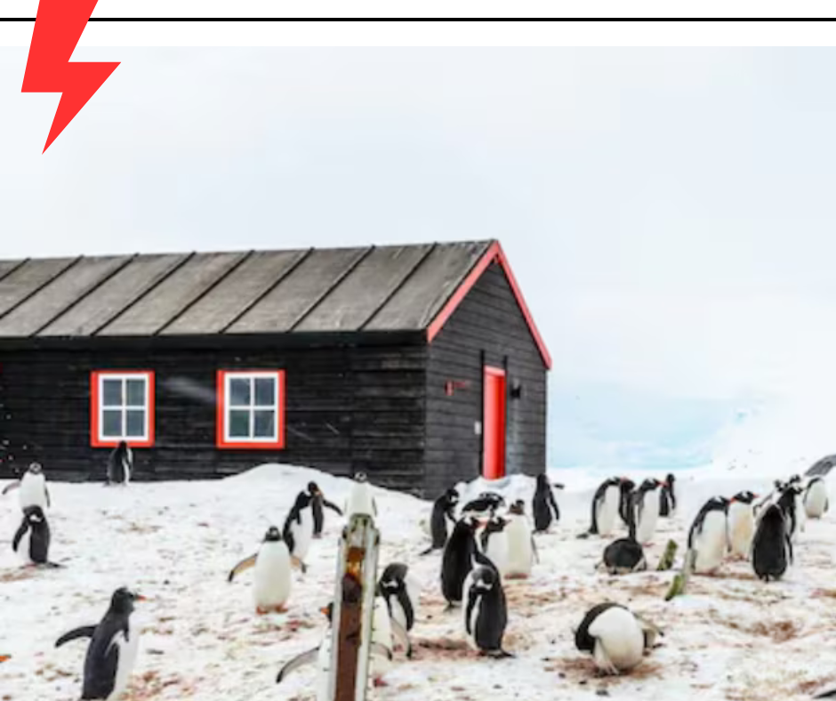 Remote Antarctic Penguin Post Office serves mail