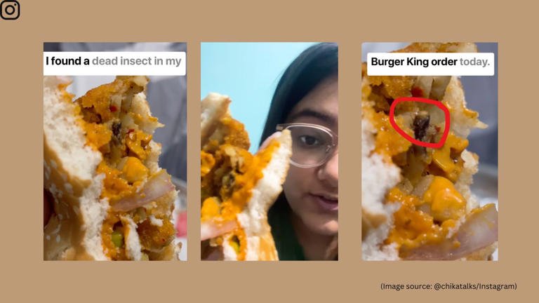 Dead insect found in Burger King order, voucher & burgers offered as compensation