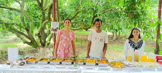 Navdanya celebrates the Mango Festival