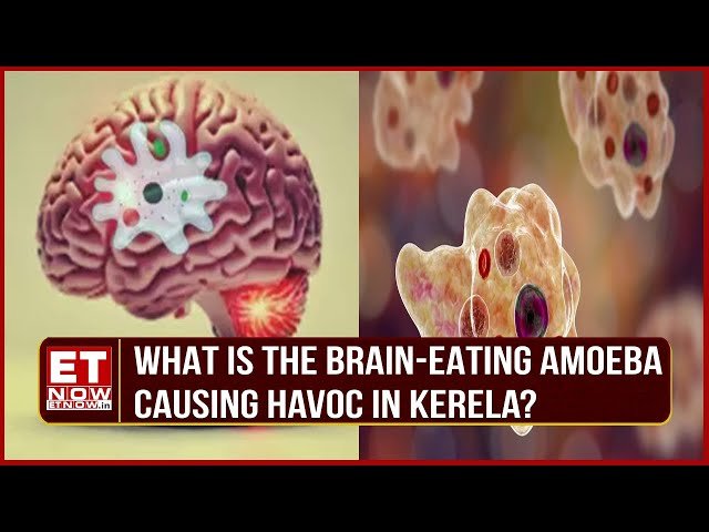 Brain-eating amoeba kills a teenage girl in Kerala